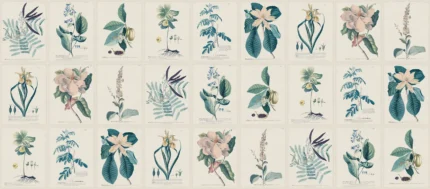 Flora, Blue