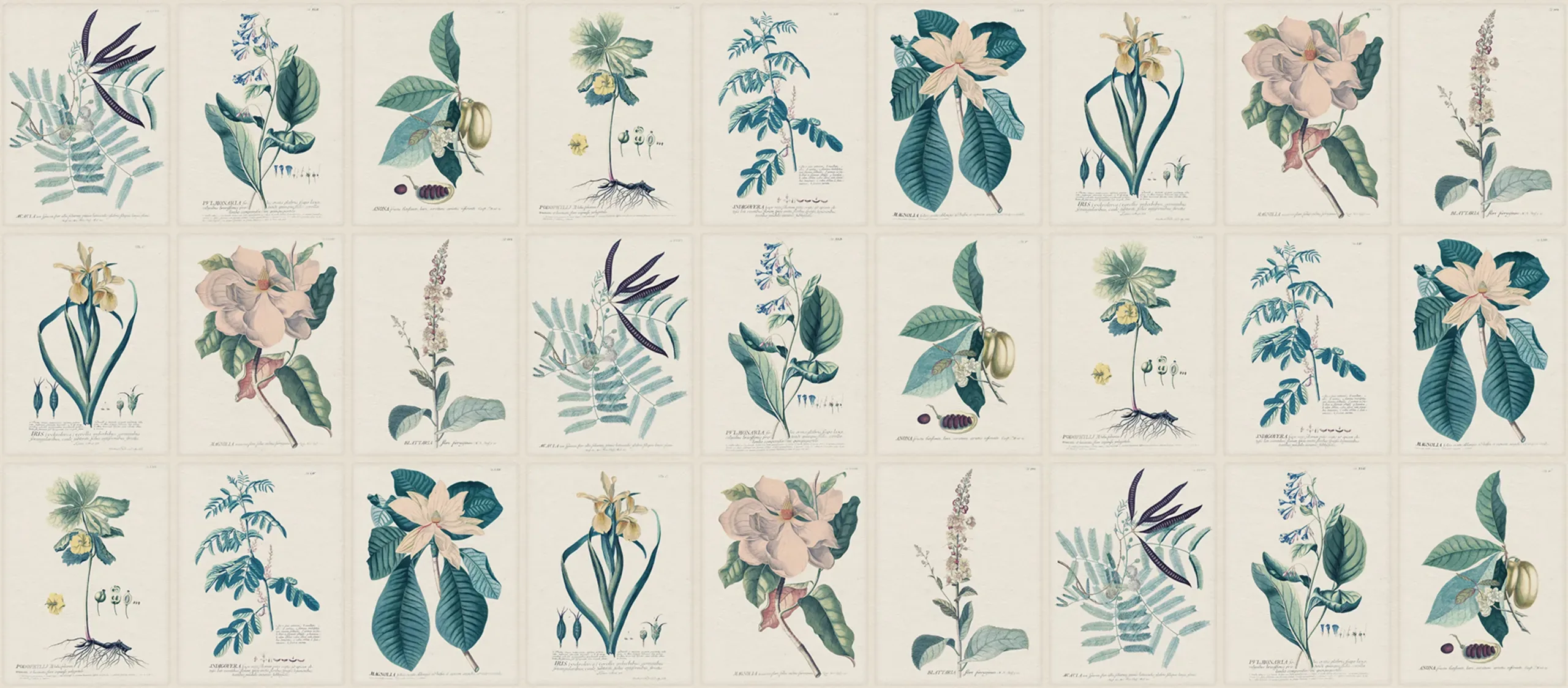 Flora, Blue