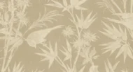 Color Variation