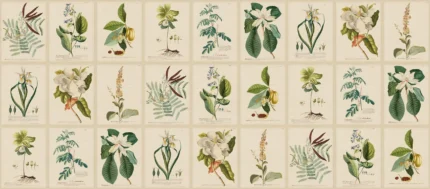 Flora Green Large Pattern Mural by Sandberg