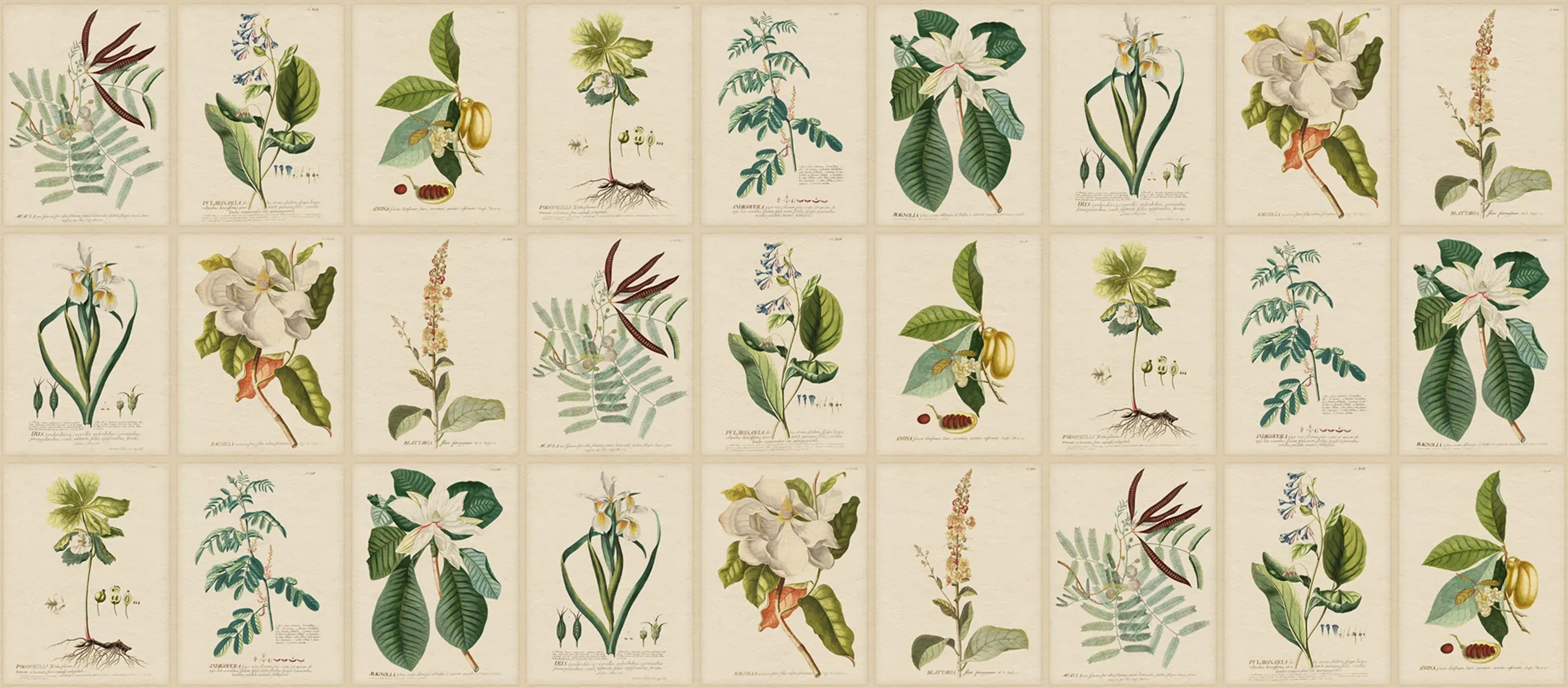 Flora Green Large Pattern Mural by Sandberg