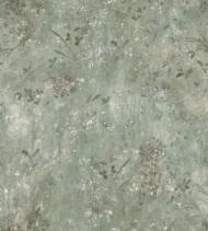 Color Variation