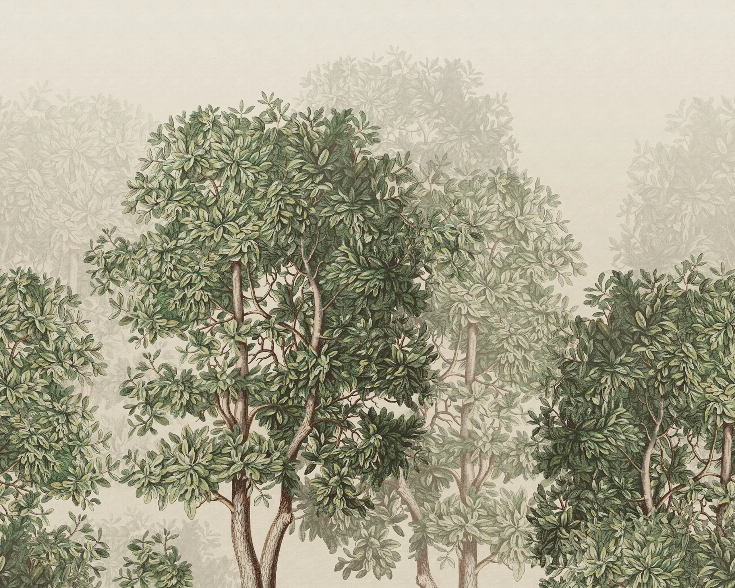 Charles Green Botanical Mural by Sandberg
