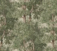 Color Variation