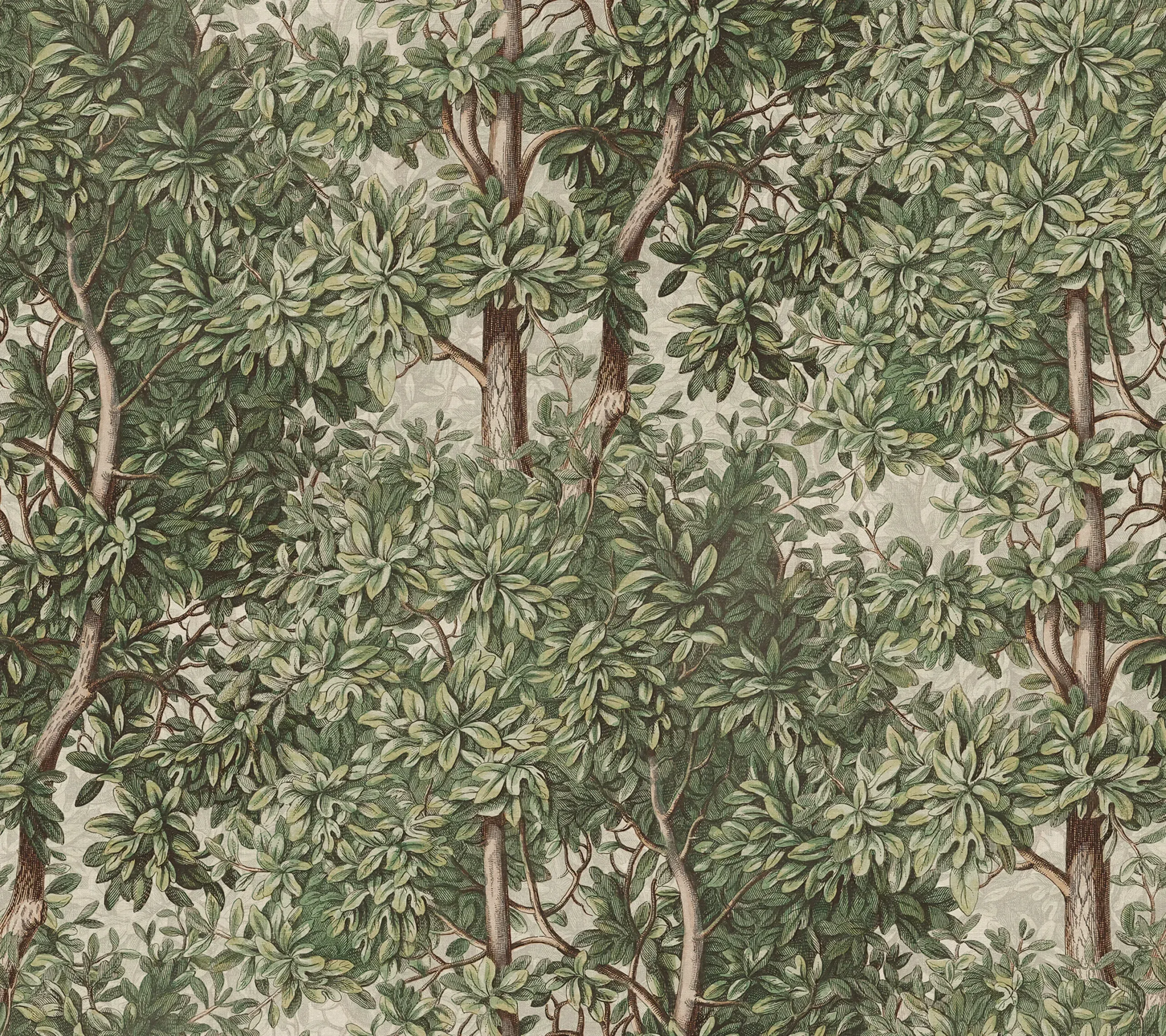 Charles Green Botanical Mural by Sandberg