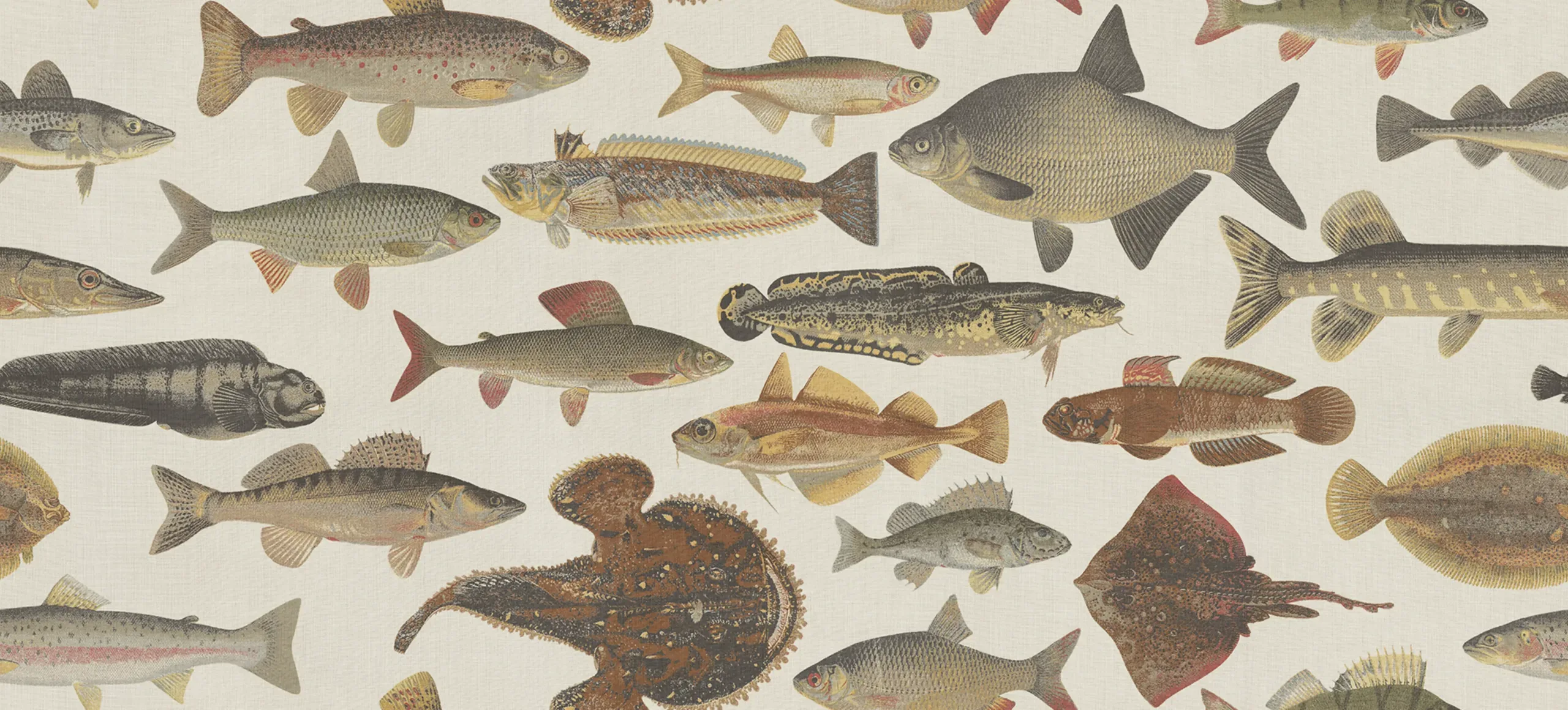 Scandinavian Fish Beige Playful Mural by Sandberg