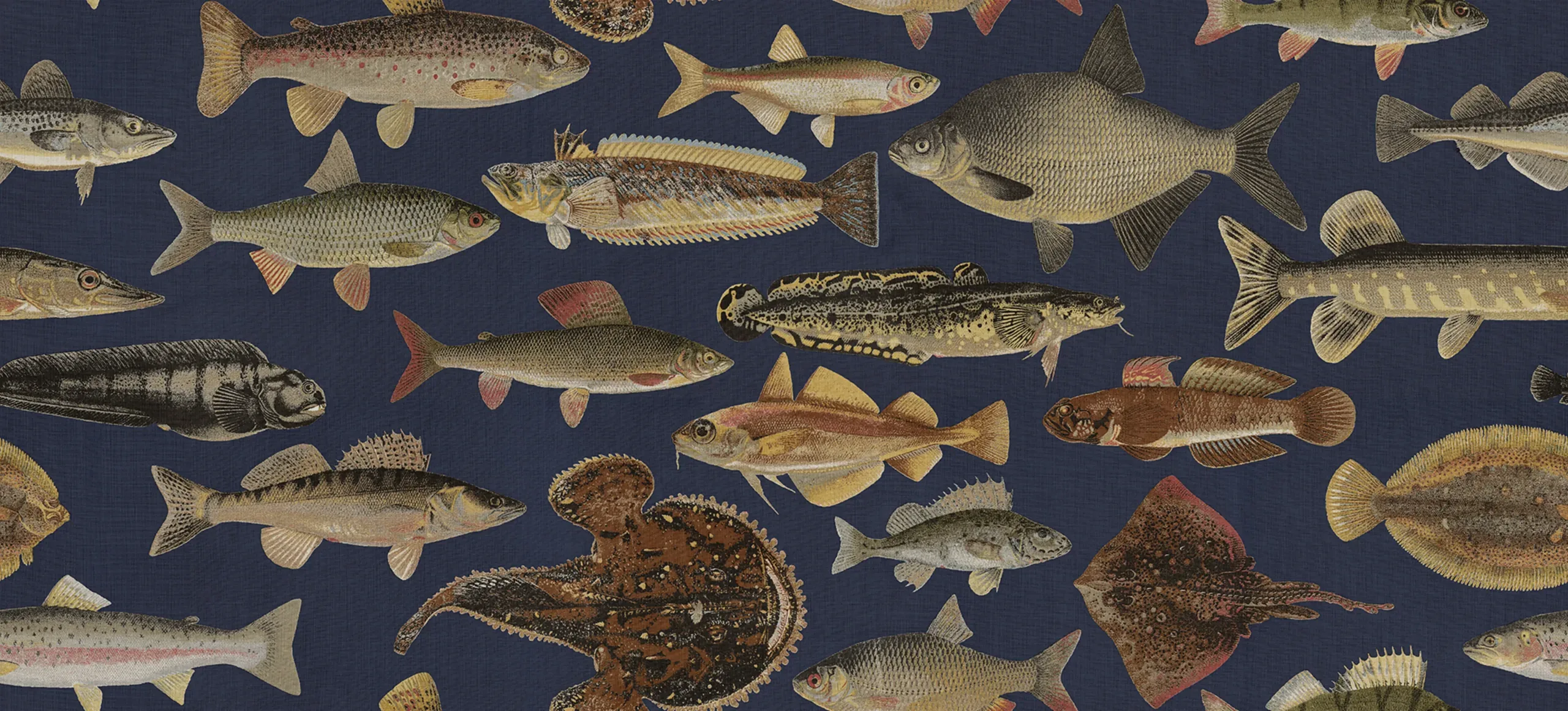 Scandinavian Fish Dark Blue Playful Mural by Sandberg