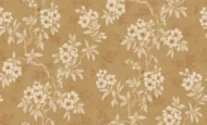 Color Variation