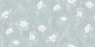 Color Variation