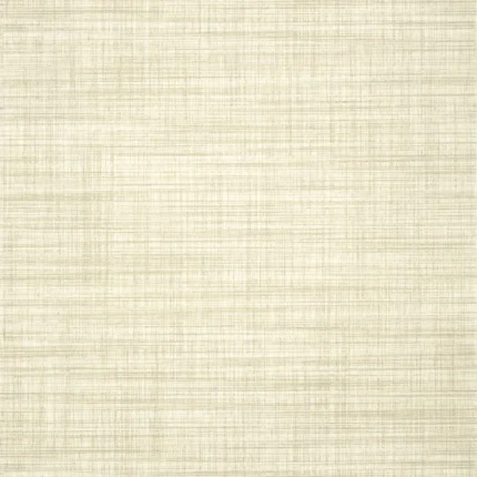 Thibaut BRYSON wallpaper in Beige