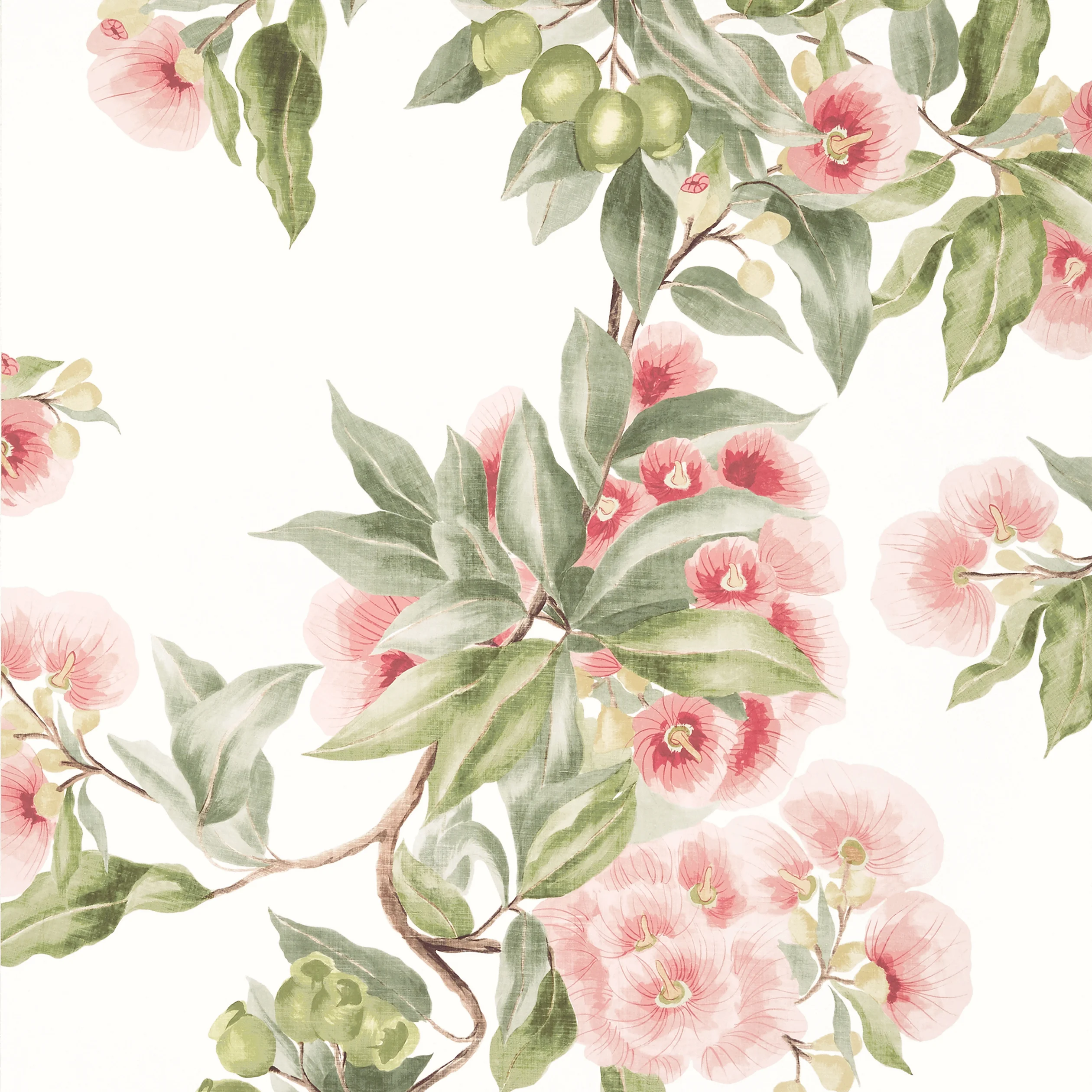 Thibaut CAMELLIA GARDEN Wallpaper in Coral (AT24550) Thibaut CAMELLIA GARDEN wallpaper in Coral
