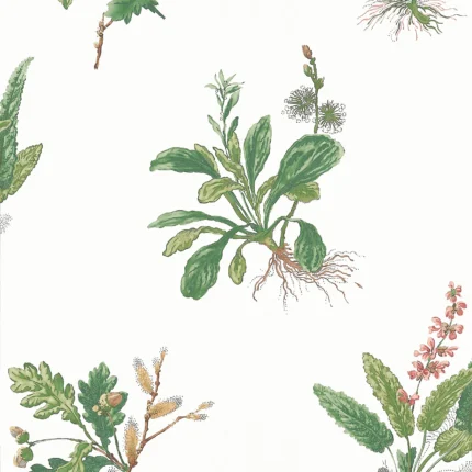 Thibaut WOODLAND Green and Blush Bristol Wallpaper AT57852
