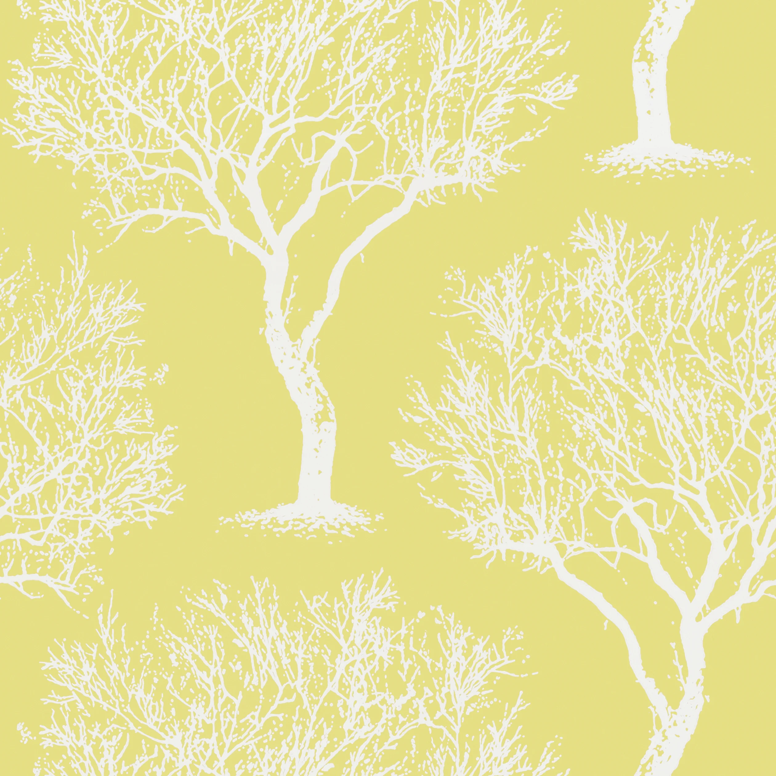 Thibaut WINFELL FOREST Wallpaper in Citron (AT6003) Thibaut WINFELL FOREST wallpaper in Citron