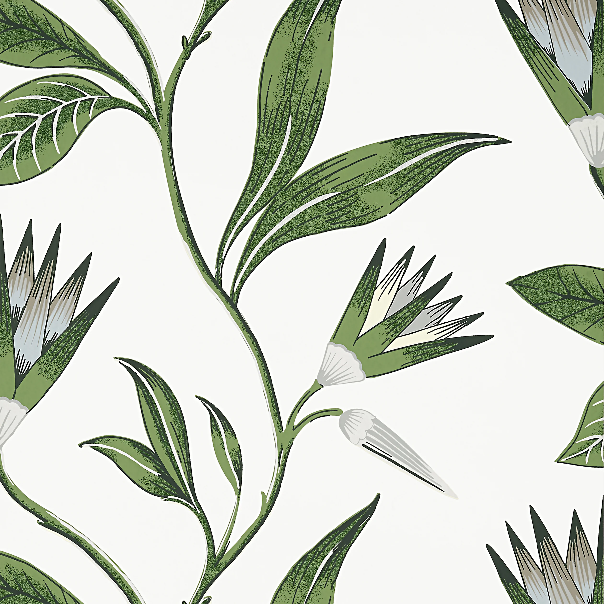 Thibaut CLEO VINE Wallpaper in Green and White (AT9622) Thibaut CLEO VINE wallpaper in Green and White