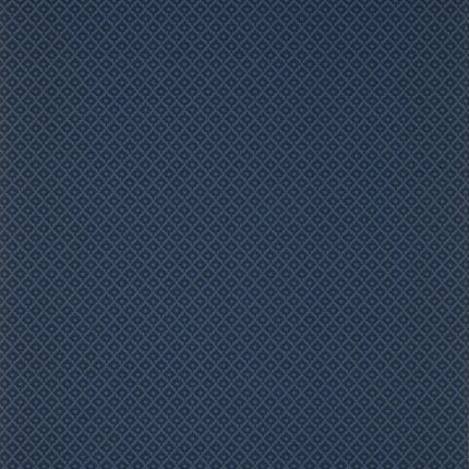Thibaut PETIT ARBRE wallpaper in Navy