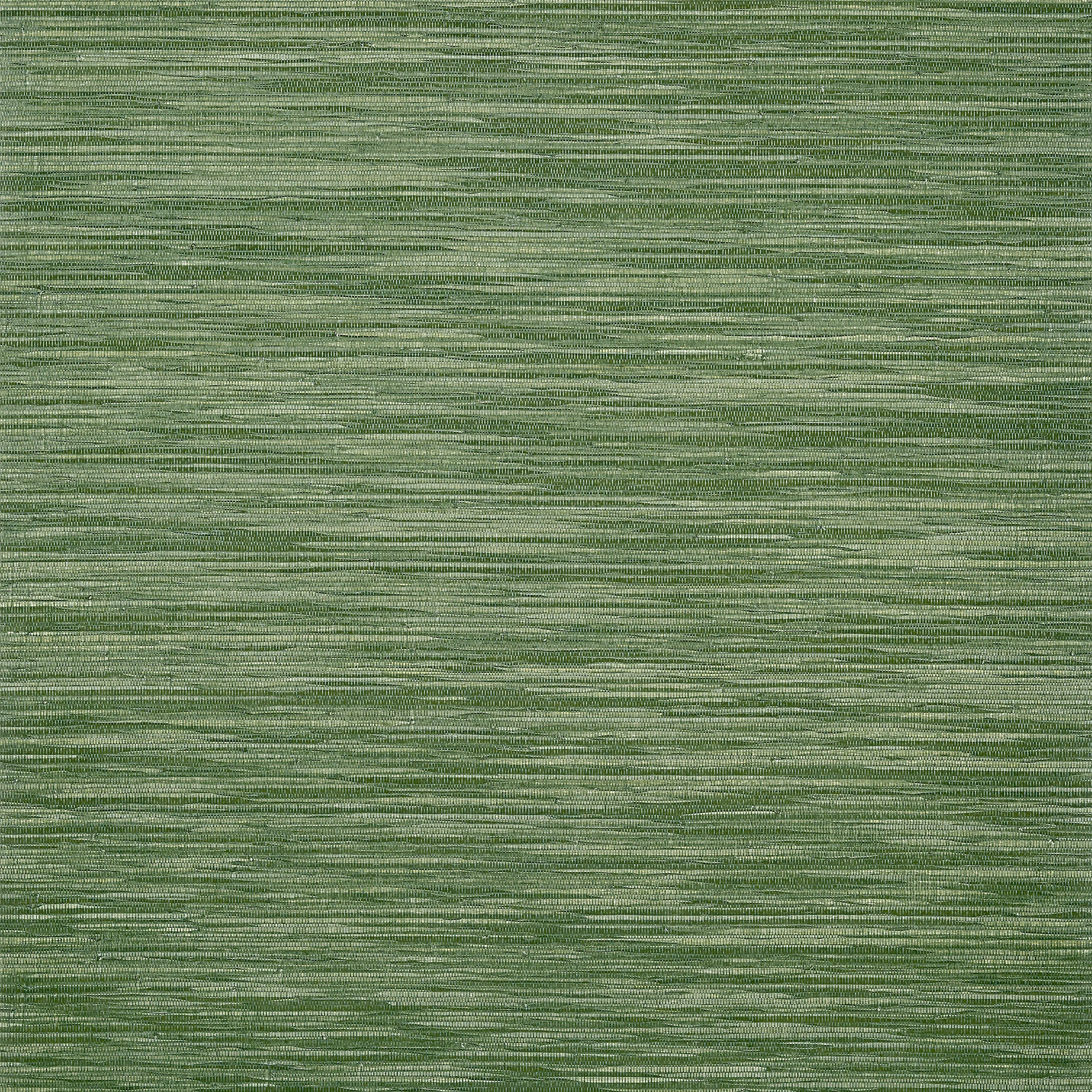 Thibaut GAYA Wallpaper in Emerald Green (AT9657) Thibaut GAYA wallpaper in Emerald Green