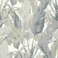 Color Variation