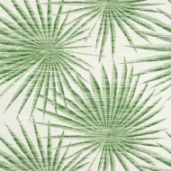 Color Variation