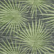 Color Variation