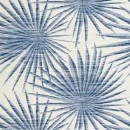 Color Variation