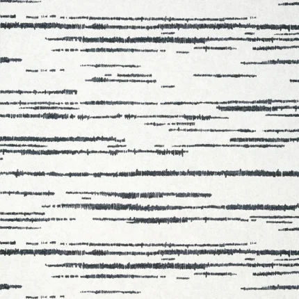 Thibaut ECHO wallpaper in Black on White