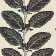 Color Variation