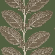 Color Variation