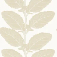 Color Variation