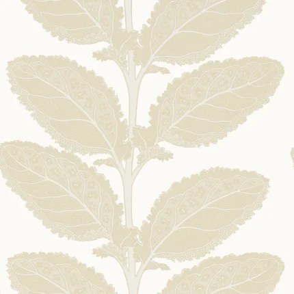 Thibaut LACINATO wallpaper in Birch