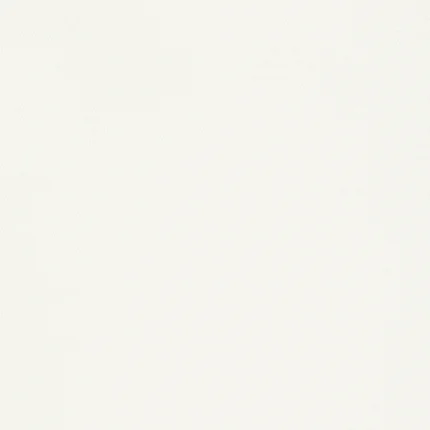 Thibaut SURFRIDER wallpaper in White