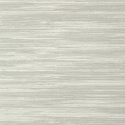 Thibaut ST. THOMAS wallpaper in Grey