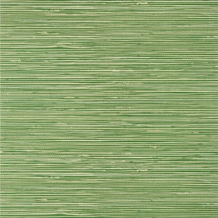 Thibaut ST. THOMAS wallpaper in Emerald