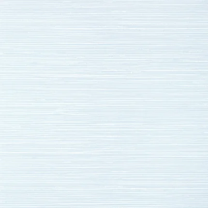 Thibaut ST. THOMAS wallpaper in Ice