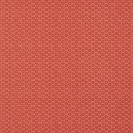 Thibaut AKARI wallpaper in Coral