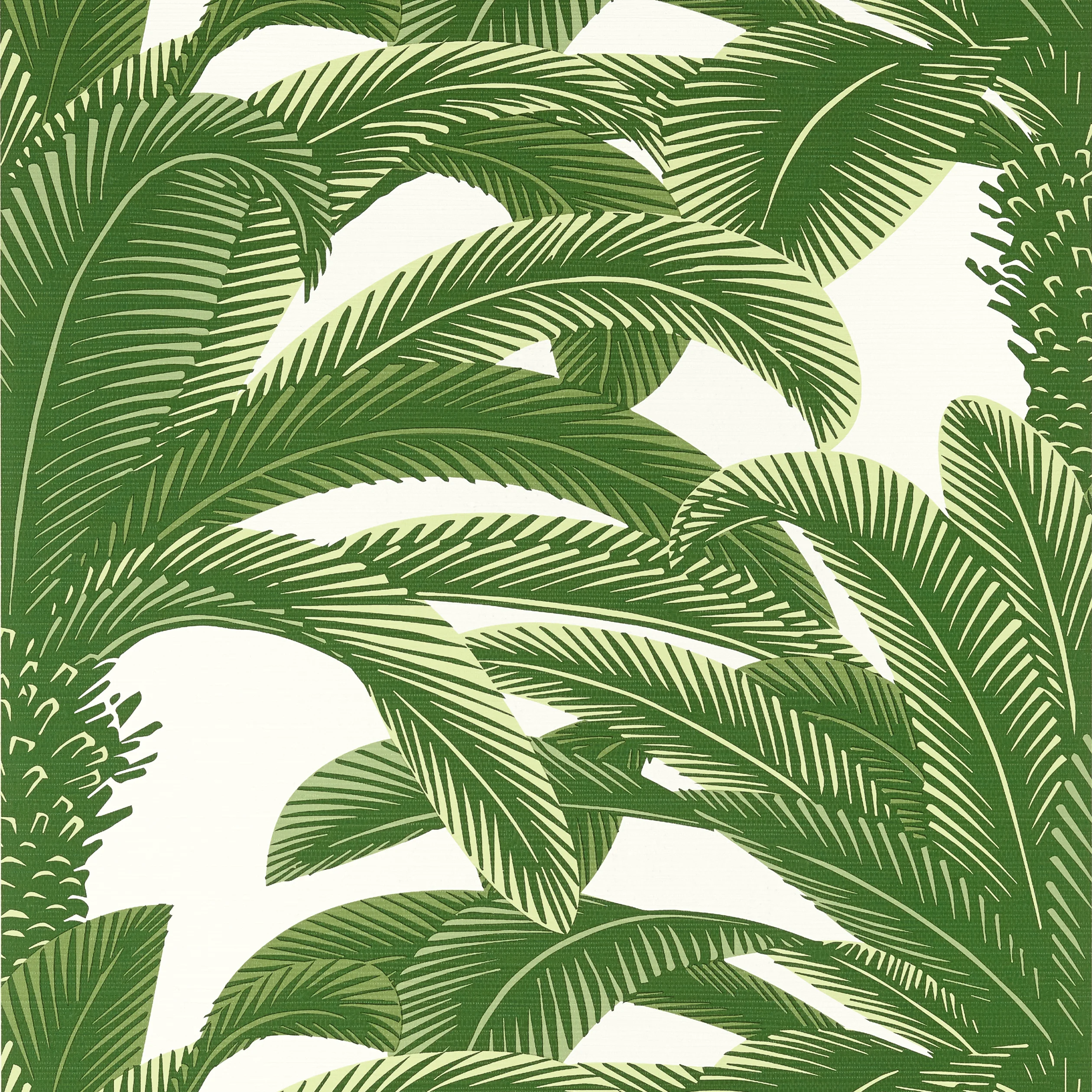 Thibaut QUEEN PALM Wallpaper in Green (T13907) Thibaut QUEEN PALM Green Palm Grove Wallpaper T13907
