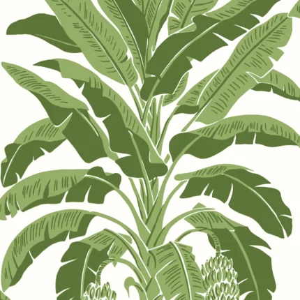 Thibaut BANANA TREE Green Palm Grove Wallpaper T13914