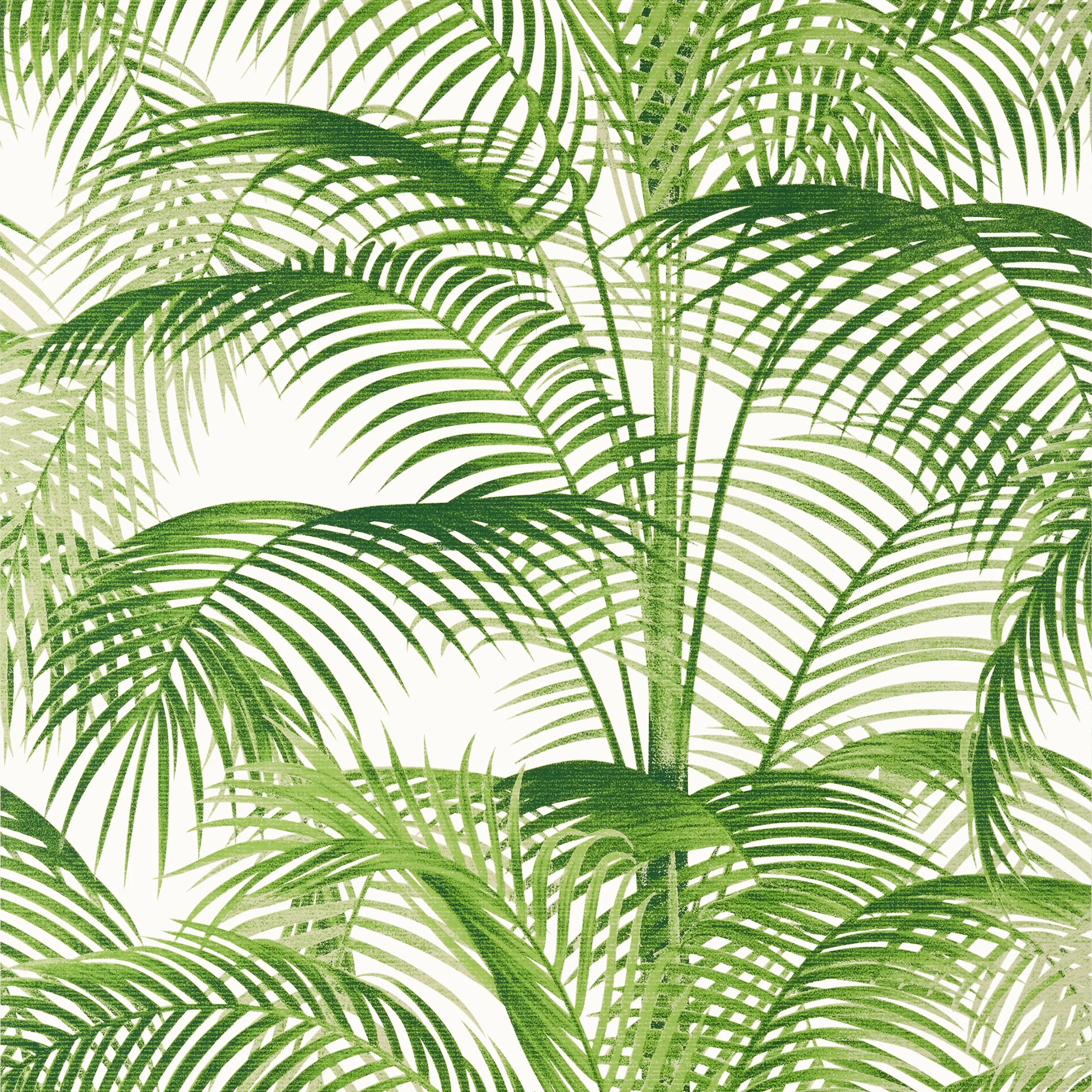 Thibaut DELRAY Wallpaper in Green (T13938) Thibaut DELRAY Green Palm Grove Wallpaper T13938