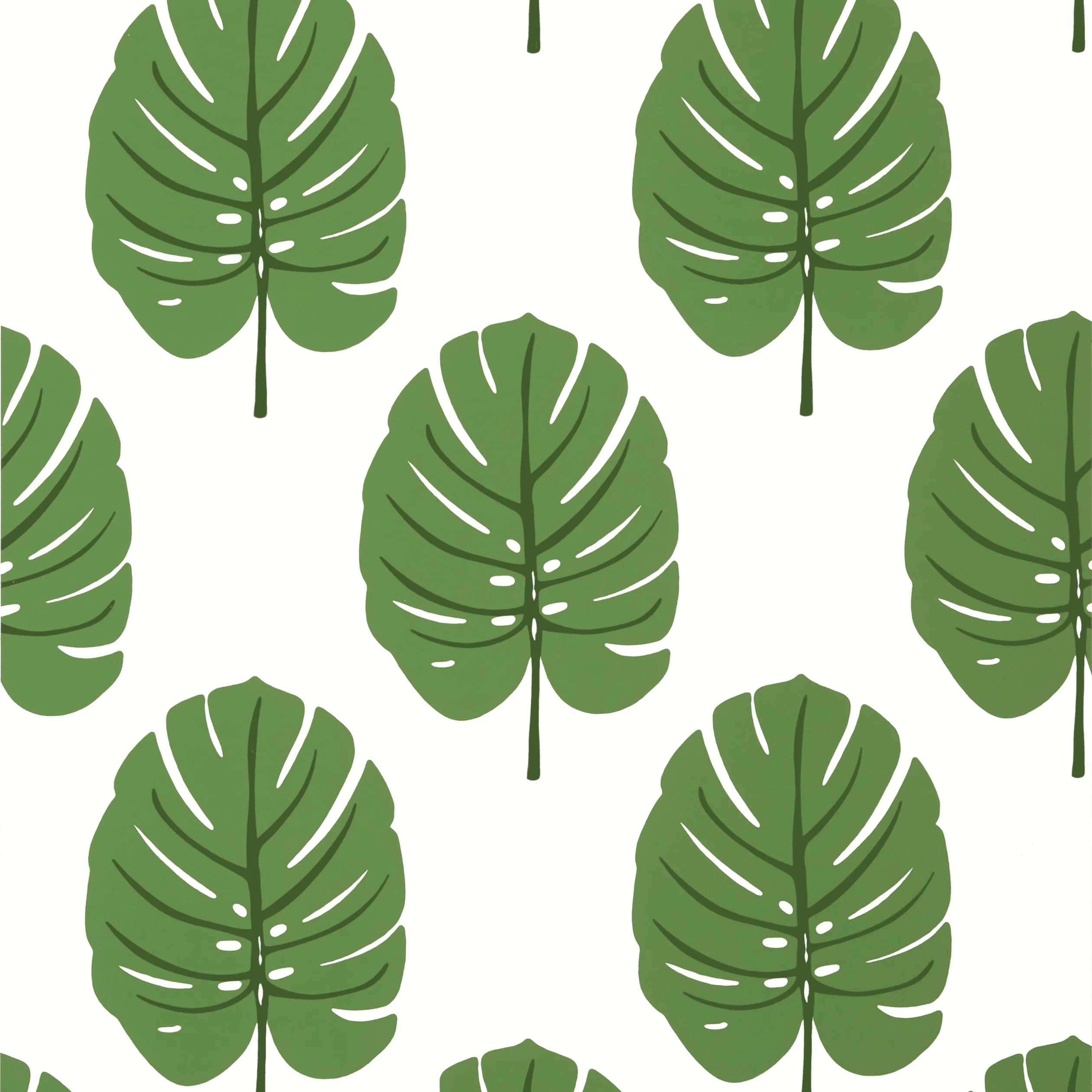 Thibaut MONSTERA Wallpaper in Green (T13952) Thibaut MONSTERA wallpaper in Green