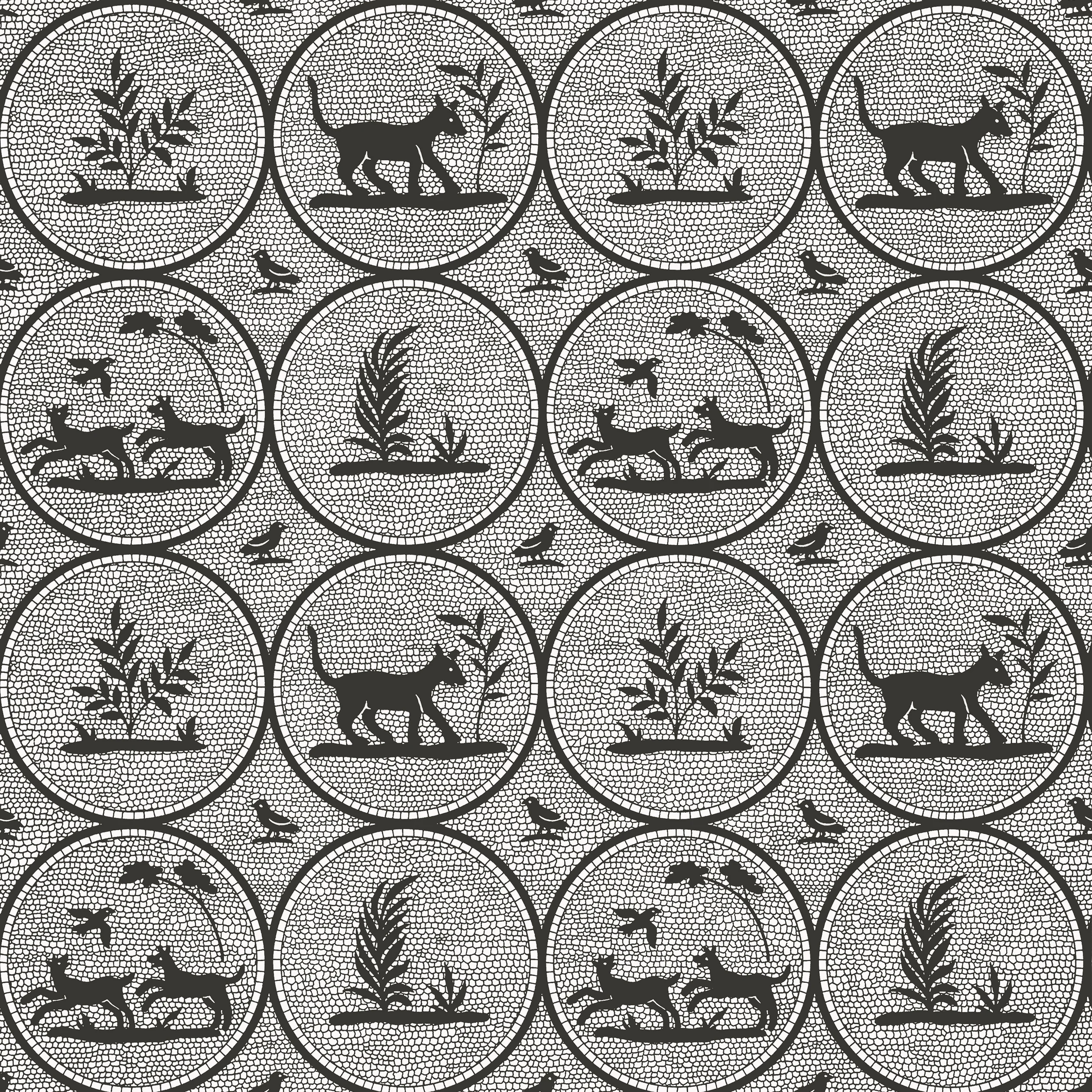 Thibaut DOOLEY Wallpaper in Black (T14347) Thibaut DOOLEY wallpaper in Black