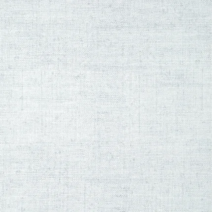 Thibaut BANKUN RAFFIA wallpaper in Ice
