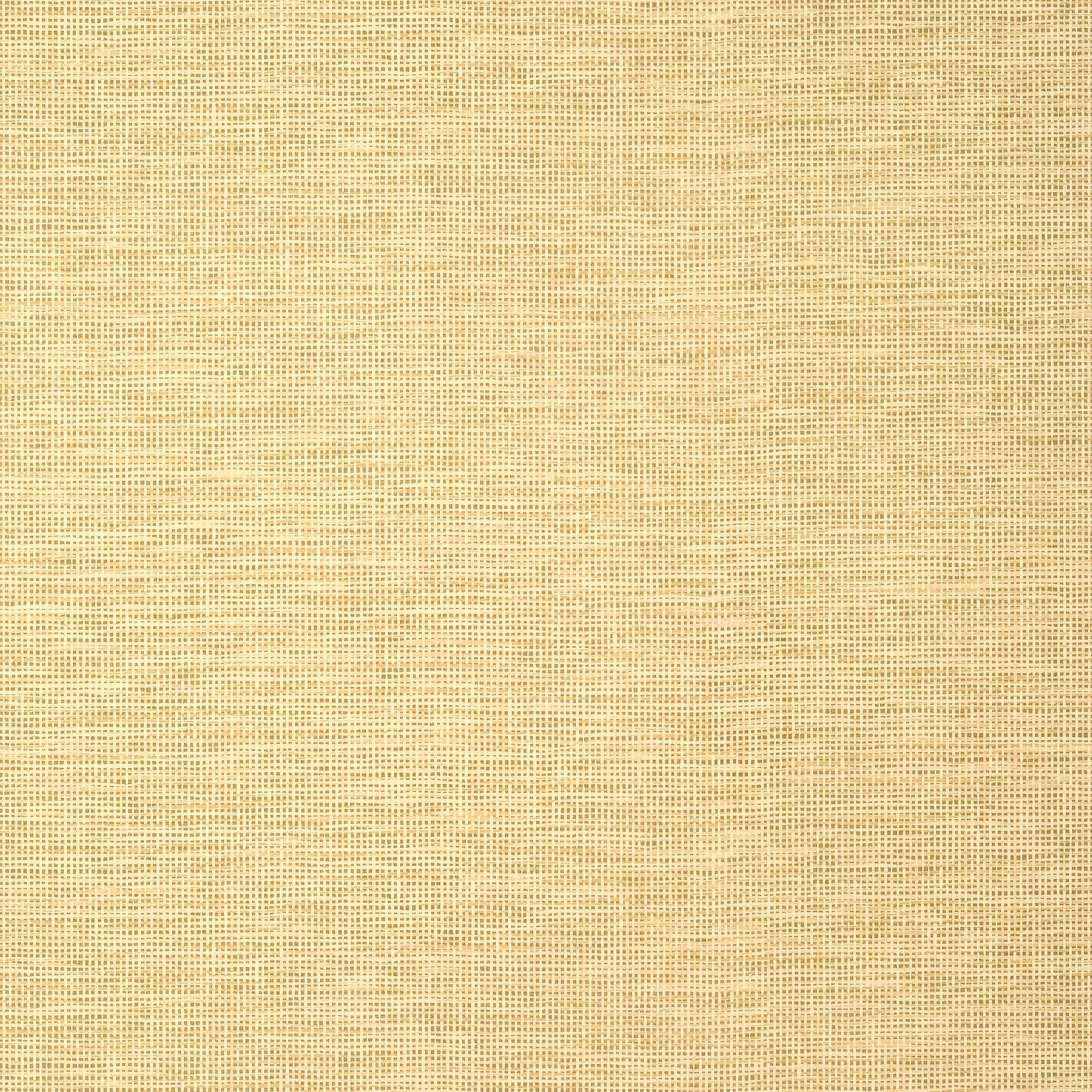 Thibaut SPIRO Wallpaper in Straw (T14564) Thibaut SPIRO Straw Texture Resource Wallpaper T14564