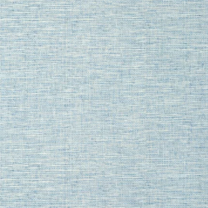 Thibaut SPIRO wallpaper in Cornflower
