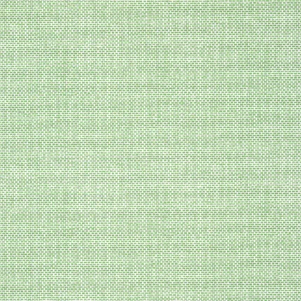 Thibaut PALAWAN wallpaper in Green