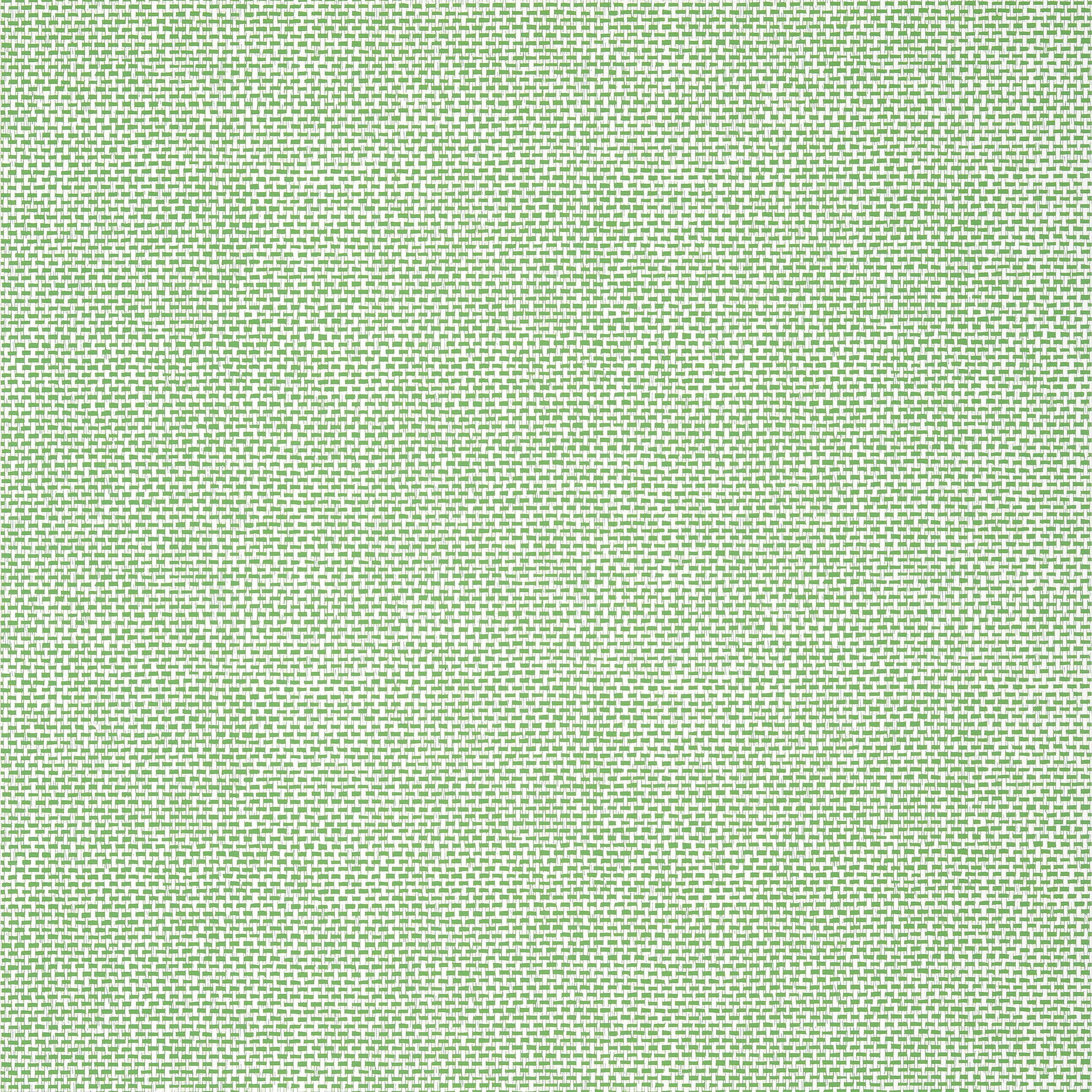 Thibaut PALAWAN Wallpaper in Green (T16261) Thibaut PALAWAN wallpaper in Green