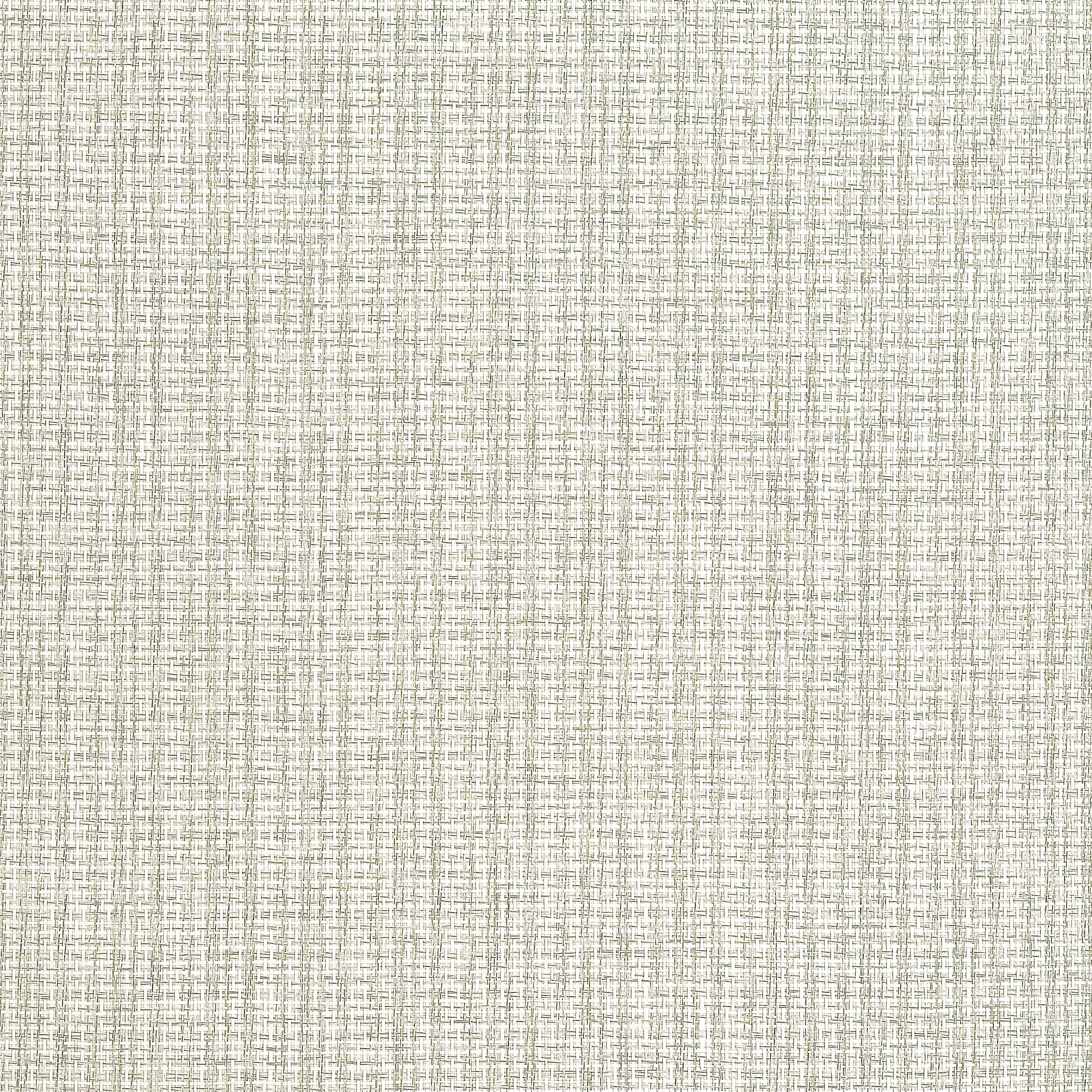 Thibaut COASTLINE Wallpaper in Light Moss (T19661) Thibaut COASTLINE Light Moss Grasscloth Resource Wallpaper T19661