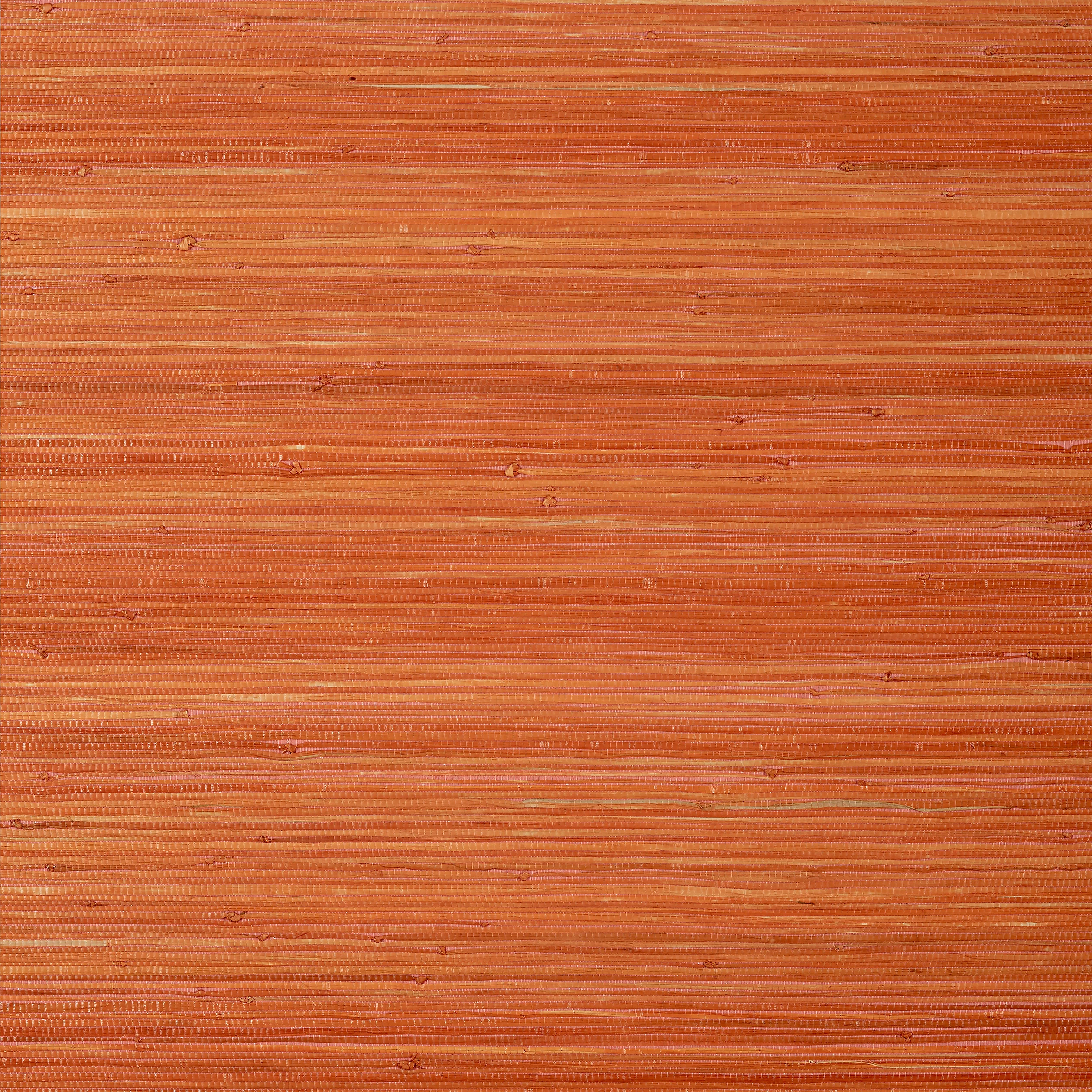 Thibaut RAFFIA PALM Wallpaper in Orange (T24072) Thibaut RAFFIA PALM Orange Grasscloth Resource Wallpaper T24072