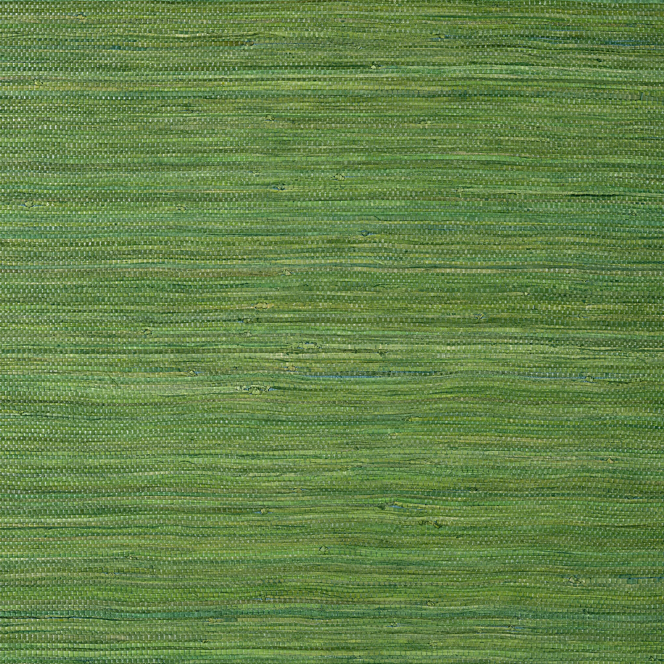 Thibaut RAFFIA PALM Wallpaper in Emerald Green (T24074) Thibaut RAFFIA PALM Emerald Green Grasscloth Resource Wallpaper T24074