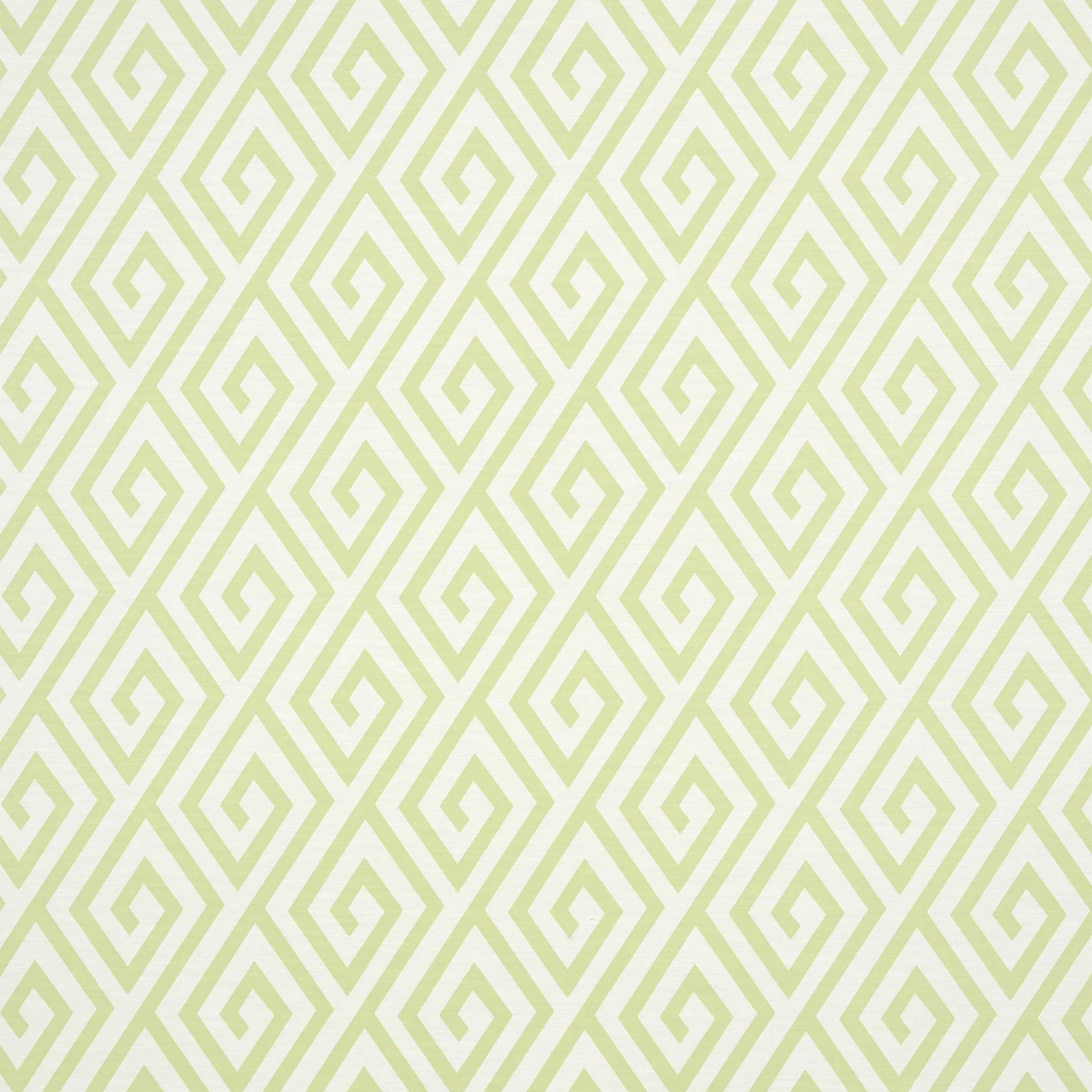 Thibaut DEDALO Wallpaper in Green (T35151) Thibaut DEDALO Green Graphic Resource Wallpaper T35151