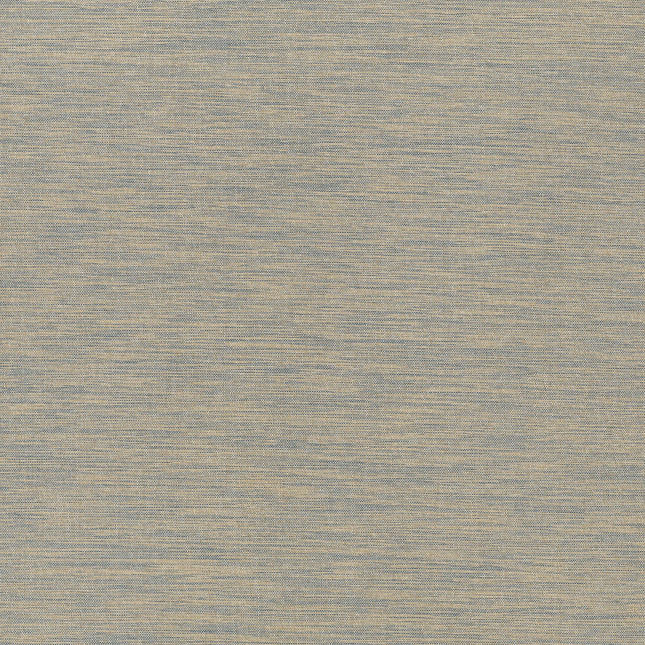 Thibaut SARDINIA wallpaper in Blue and Beige