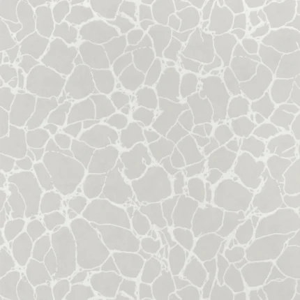 Thibaut AMATO wallpaper in Grey